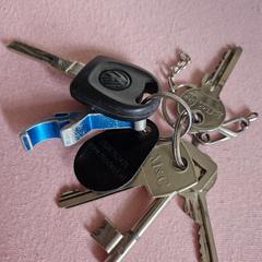 Sleutels, som rapporterats till iLost