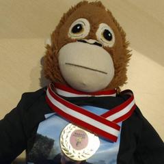 Kuscheltier met medaille en tshirt, gemeldet von Walibi Holland über iLost