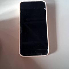 스마트 폰 Wit Apple, iLost를 사용하여 Familiepark Drievliet에 보고됨