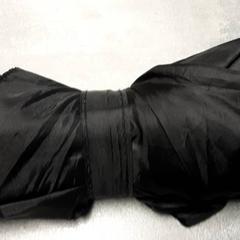 Paraply Zwart, rapporterat av Arriva Friesland / Groningen med iLost