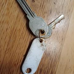 Sleutelbos, ako bolo nahlásené iLost