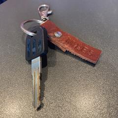 Sleutel Miles, a été signalé par Pathé Haarlem utilisant iLost