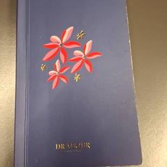 Ordine del giorno, come riportato da IKEA Nice Saint Isidore utilizzando iLost