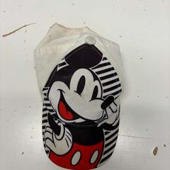 Cap Mickey Mouse, as reported by Avonturenpark Hellendoorn using iLost