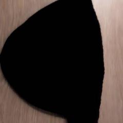 Beanie muts, som rapportert av LUMC ved bruk av iLost