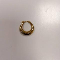 القرط، كما تم الإبلاغ عنه بواسطة Vrije Universiteit Amsterdam عبر iLost