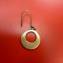 Örhänge, rapporterat av UvA REC med iLost