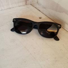 색안경 Zwart, iLost를 사용하여 DierenPark Amersfoort에 보고됨