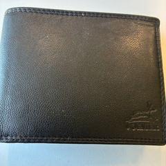 Billetera Hoorne, ha sido reportado por Regio Oost-Vlaanderen con iLost