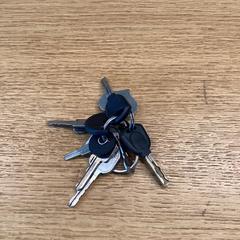 Clauer Zilver met zwart, segons ha informat Stad Hasselt mitjançant iLost