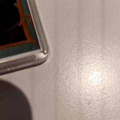 Attractiefoto vogelrok, amint azt De Efteling az iLost segítségével jelentette.