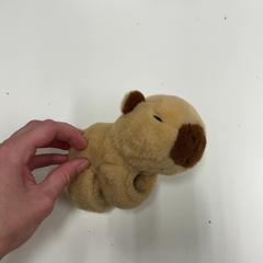 Jouet & Peluche Capibara, a été signalé par IKEA Amersfoort utilisant iLost