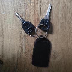 Sleutelbos met 2 sleutels, as reported to iLost