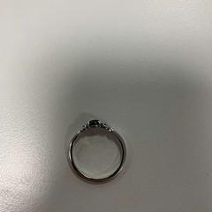 Ring, as reported by Gemeente Ede using iLost