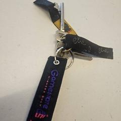 Stropp, som rapportert av GVB ved bruk av iLost