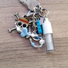 Klíčenka, jak nahlášeno EBS Tramplein pomocí iLost