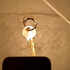 Klucz, zgłoszono przez Pathé Nijmegen przy użyciu iLost