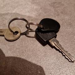 Sleutelbos, huis fiets en plastic tag, iLost에 보고됨