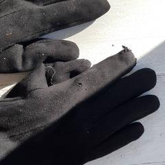 手袋 Zwart がiLostで DierenPark Amersfoort によって報告されました