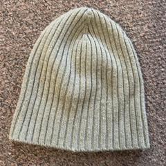 Beanie, as reported by Burgers' Zoo using iLost