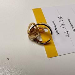 Sieraden - Gouden ring, segundo informou Centraal magazijn usando iLost