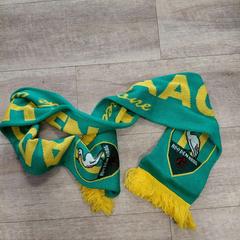 Schal, gemeldet von EBS OV Poeldijk über iLost