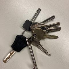 Sleutelbos, ako bolo nahlásené Pathé Schouwburgplein pomocou iLost