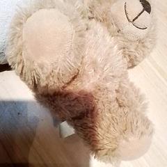 Puppen, gemeldet von Beekse Bergen Resorts en Hotel über iLost