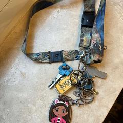 Clés, a été signalé par Gemeente Stichtse Vecht utilisant iLost