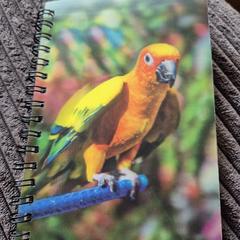 Boekje met papagaai op voorkant, som rapporterats till iLost