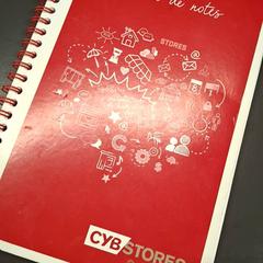 Quadern, segons ha informat IKEA Nice Saint Isidore mitjançant iLost