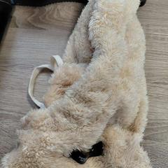 Bivakmuts がiLostで EBS OV Poeldijk によって報告されました