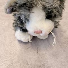 Katten がiLostで IKEA Malmö によって報告されました