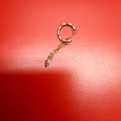 Piercing, segons ha informat UvA REC mitjançant iLost