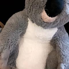 Przytulanka, zgłoszono przez RRReis IJssel-Vecht przy użyciu iLost