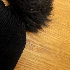 Beanie, amint azt HTM az iLost segítségével jelentette.