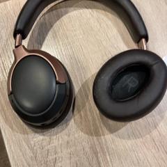 Headphones, as reported by Van der Valk Hotel Apeldoorn - De Cantharel using iLost