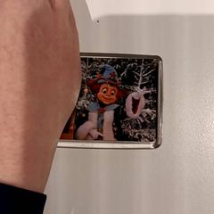 Attractiefoto warme winter weide がiLostで De Efteling によって報告されました