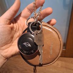 Autosleutel Mini Cooper in bruin rond hoesje، كما تم الإبلاغ عنه عبر iLost