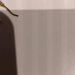 Oorbel, zoals gemeld door De Efteling met iLost