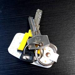 Sleutelbos, zoals gemeld door Connexxion Haarlem AML met iLost