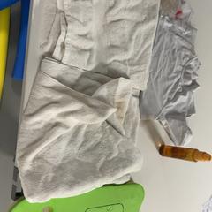 المناشف, زيت الجسم & القميص، كما تم الإبلاغ عنه بواسطة Silver Sands Beach عبر iLost