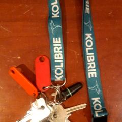 Keys, as reported by Grand Hotel Amrath Kurhaus using iLost