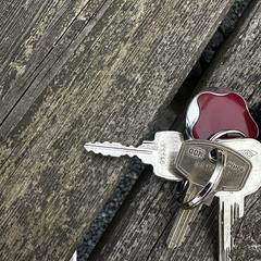 Sleutelbos, segons s'ha informat a iLost