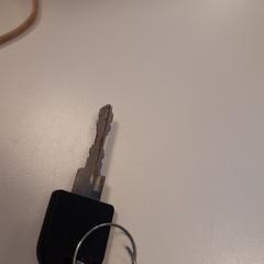 Sleutels, gemeldet von Syntus Provincie Utrecht über iLost