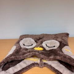 Cantant, segons ha informat Keolis Lund mitjançant iLost