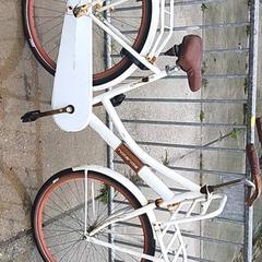 Dámské kolo holandia, jak nahlášeno Stadswerk072 pomocí iLost