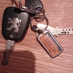 sleutelbos met o.a. Peugeotsleutel, as reported to iLost