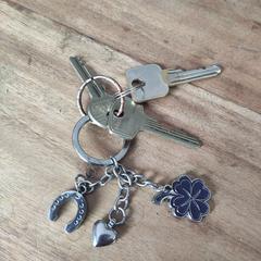 Sleutelbos, como reportado ao iLost