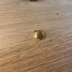 Ring, jak bylo nahlášeno na iLost